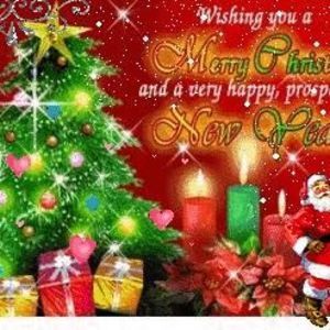 Meet your Posher, Teresa